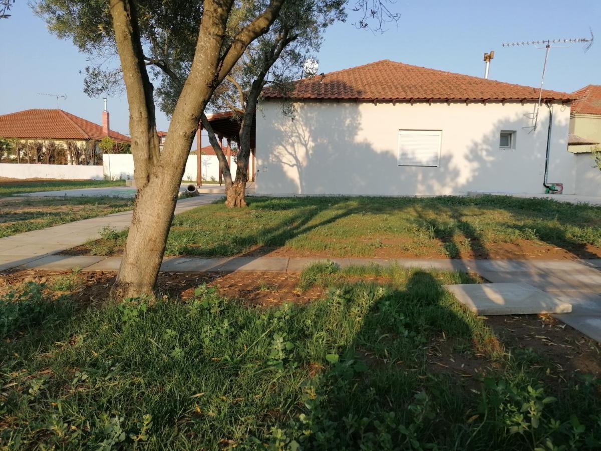 Villa Paradise *